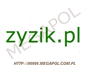DOMENY - Krajowe - Domena - zyzik.pl