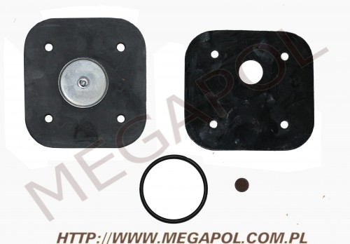 MEMBRANY REDUKTORA - Do sekwencji -  - NLP SGI NO6 NO7 - SGI Reg. Repair