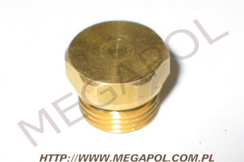 AKCESORIA - Korki - Zaślepki -  - M16x1.25mm listwy Taurus 