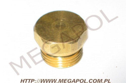 AKCESORIA - Korki - Zaślepki -  - M16x1.25mm listwy Taurus 
